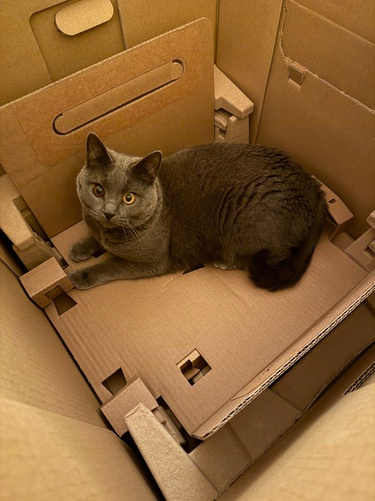 Wir bauen auf! Und ihr seid dabei!